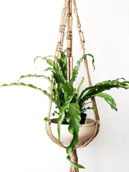 Vintage Macramé with Clay Pot