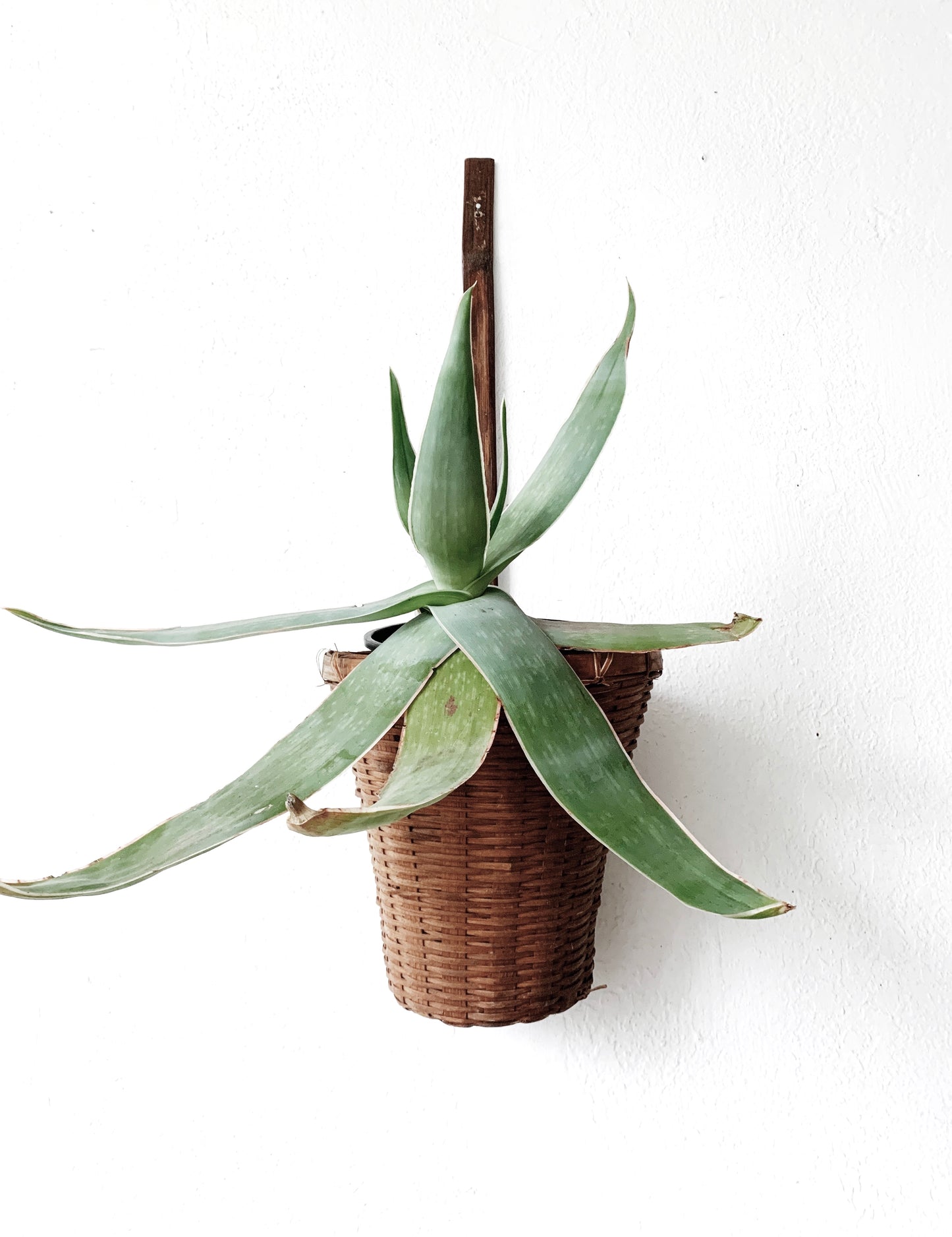 Antique Hanging Wall Basket