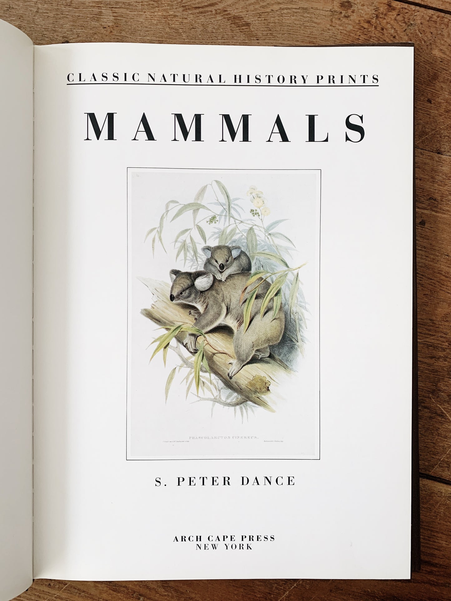 Vintage Classic Natural History Prints Art Book