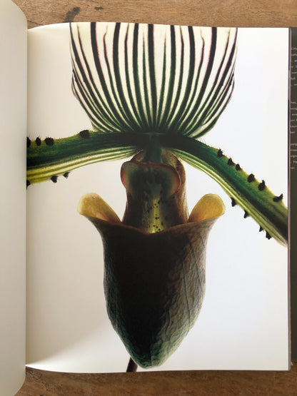 Naked Flowers Exposed Vintage Book