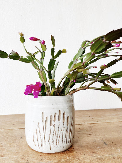 Christmas Cactus in Vintage Pottery