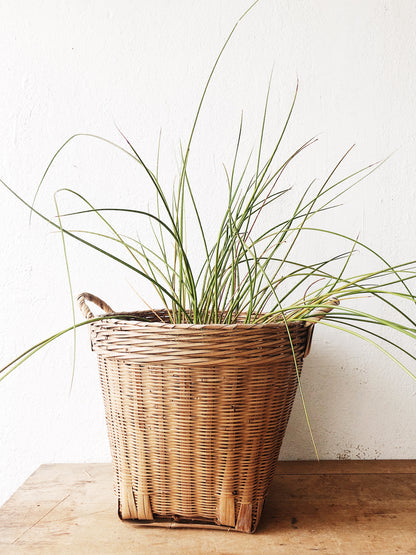 Vintage Bamboo Plant Basket