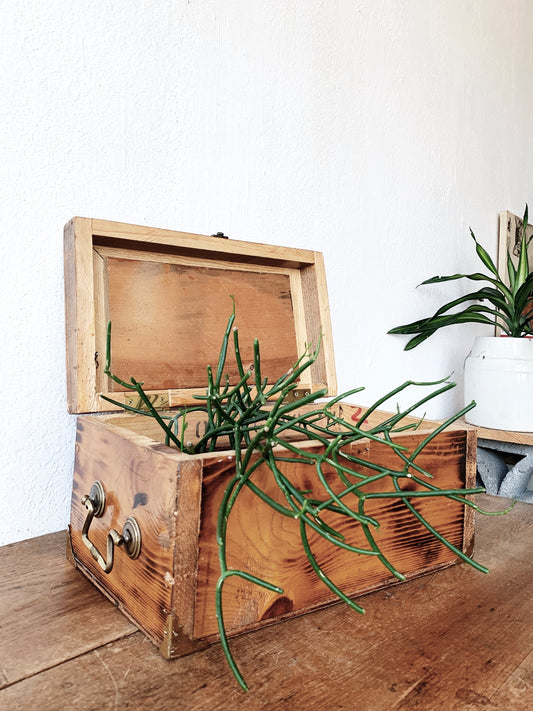 Vintage Handmade Wood Butterfly Chest