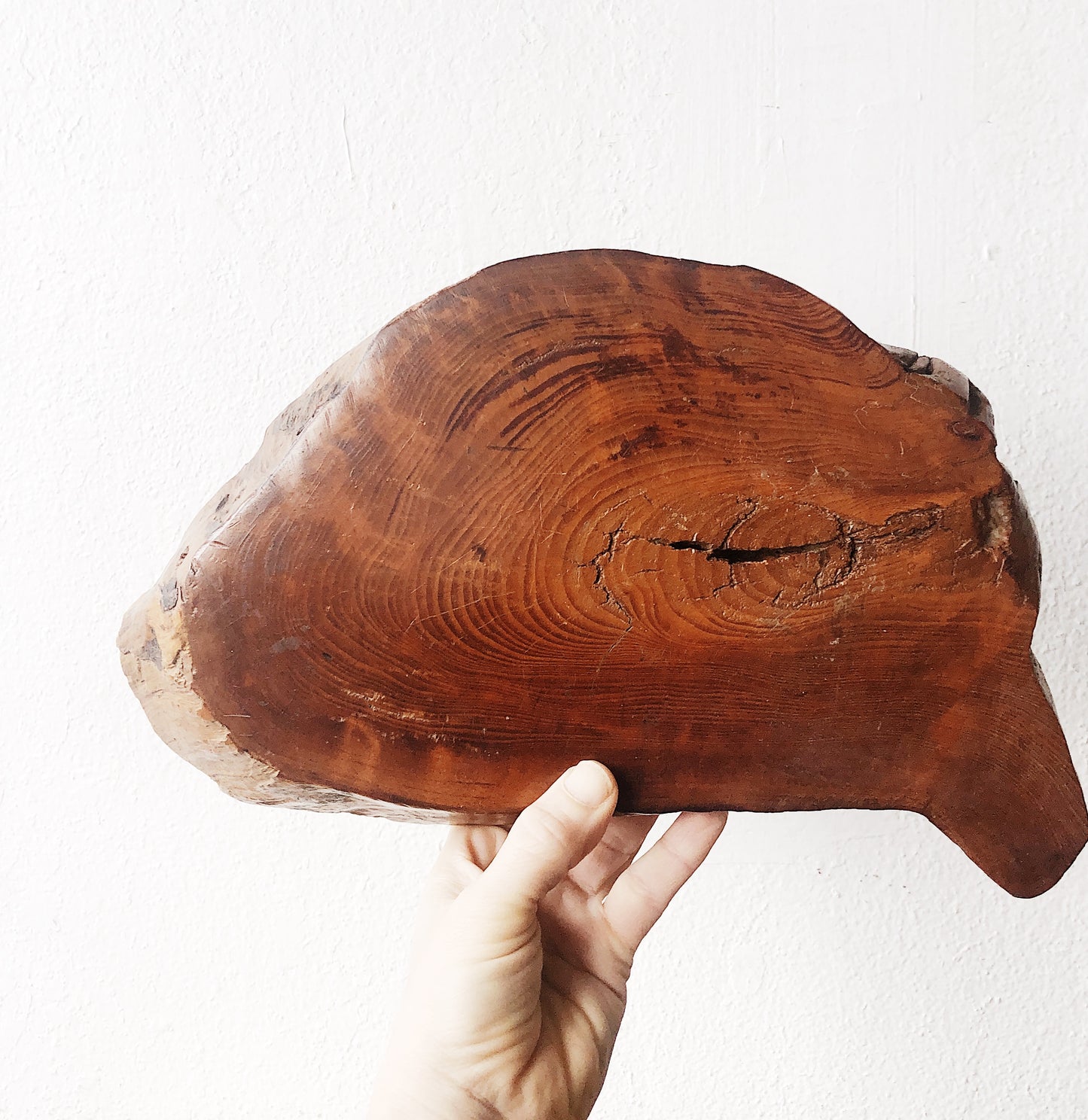 Vintage Live Edge Slab
