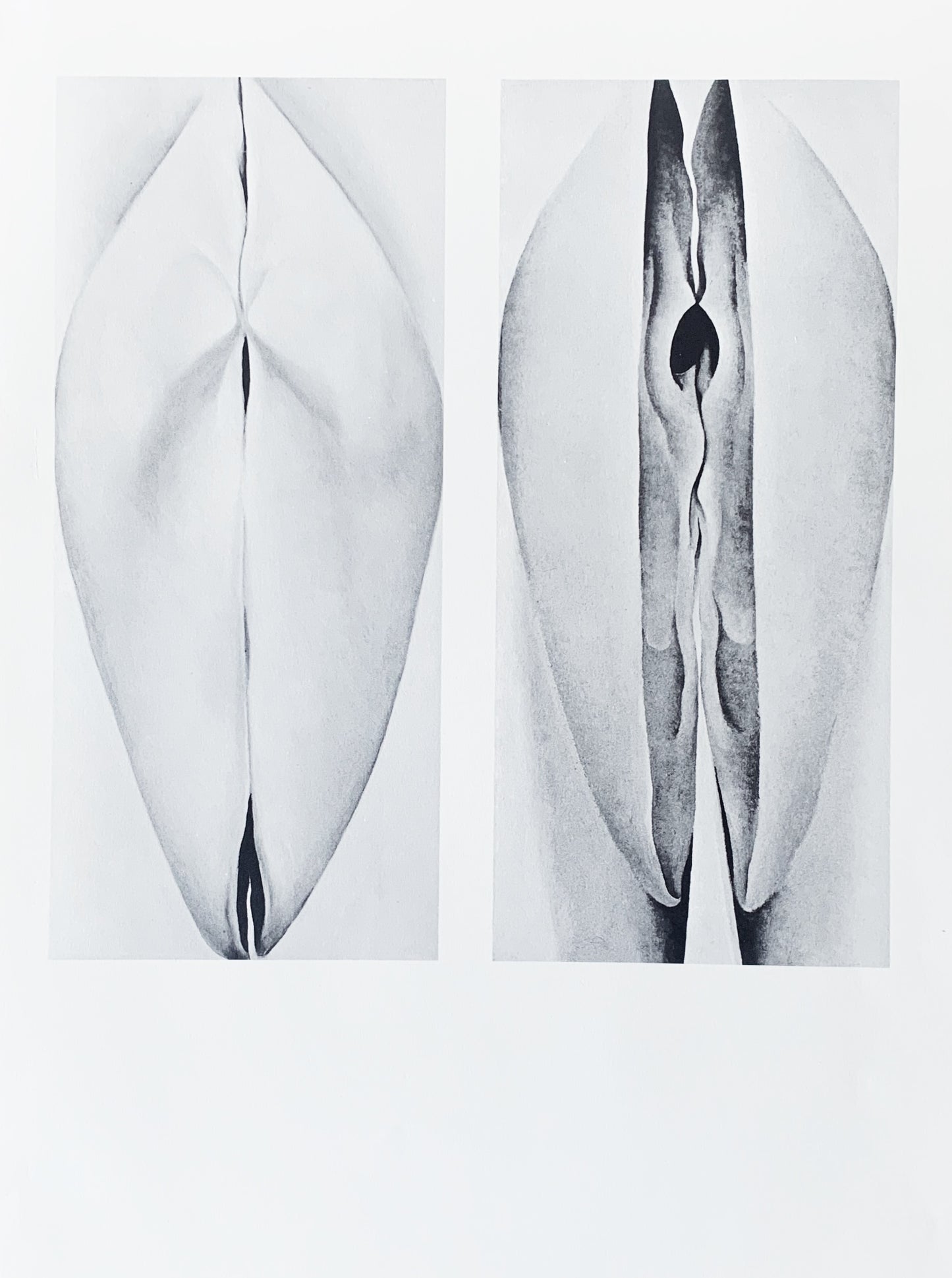 Vintage Georgia O’Keeffe Original 1970 Print