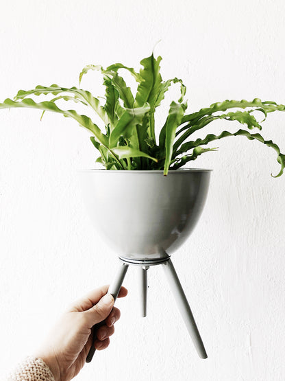 Vintage Melting Pot Planter with or without Plant