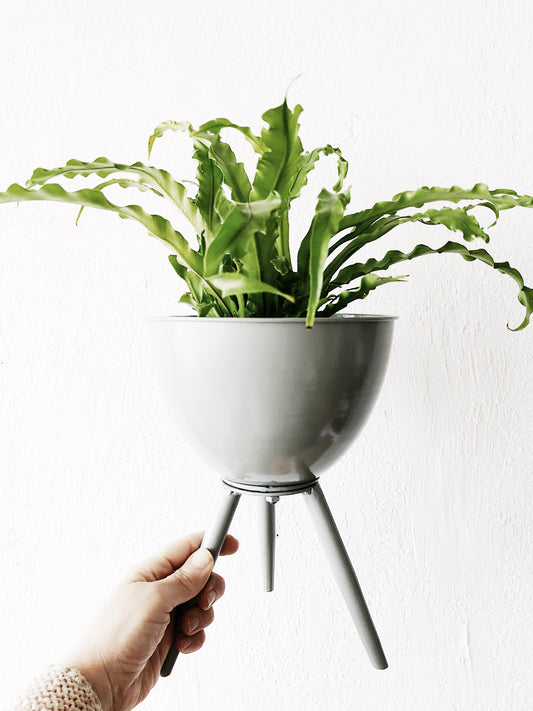 Vintage Melting Pot Planter with or without Plant