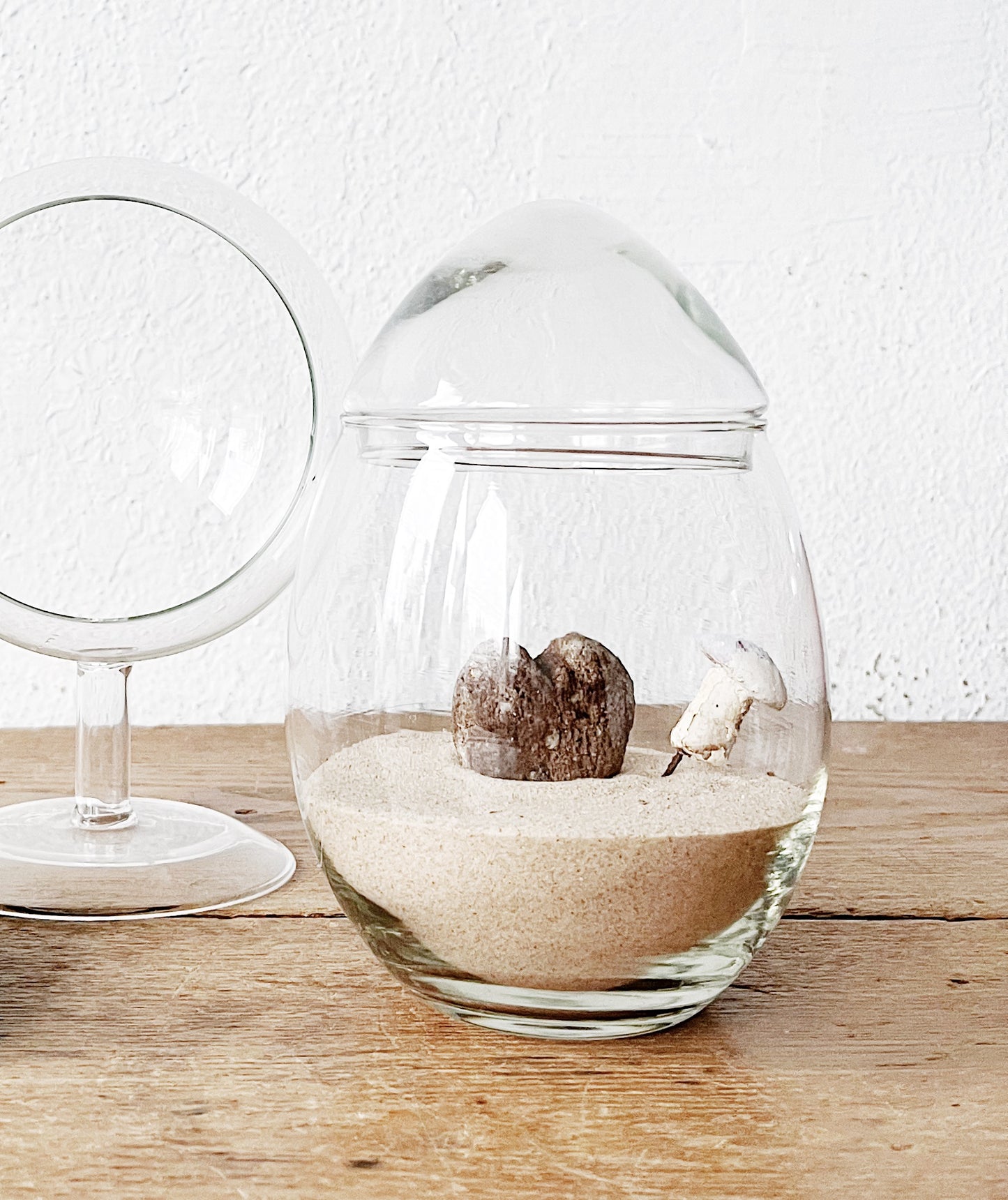 Vintage Terrarium