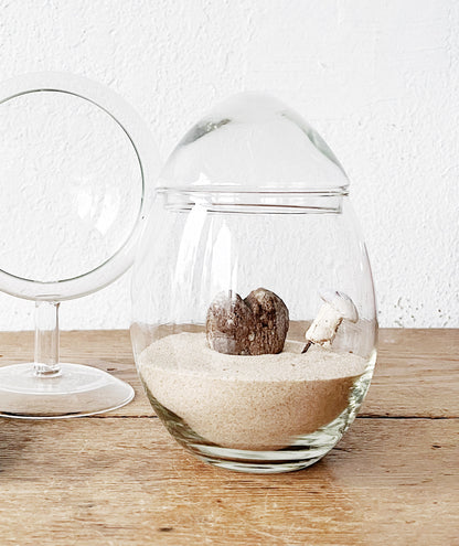 Vintage Terrarium