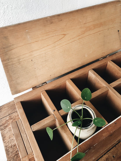 Vintage Handmade Divided Trunk