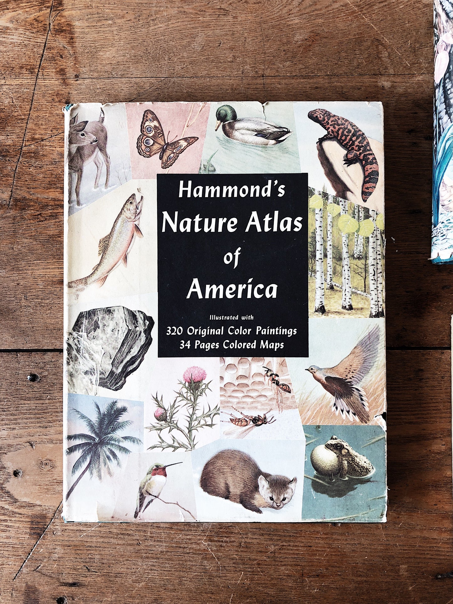 Vintage Hammond’s Nature Atlas