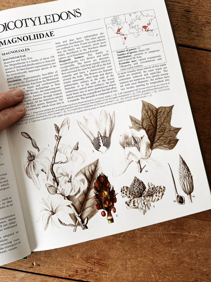 Flowering Plants of the World 1977