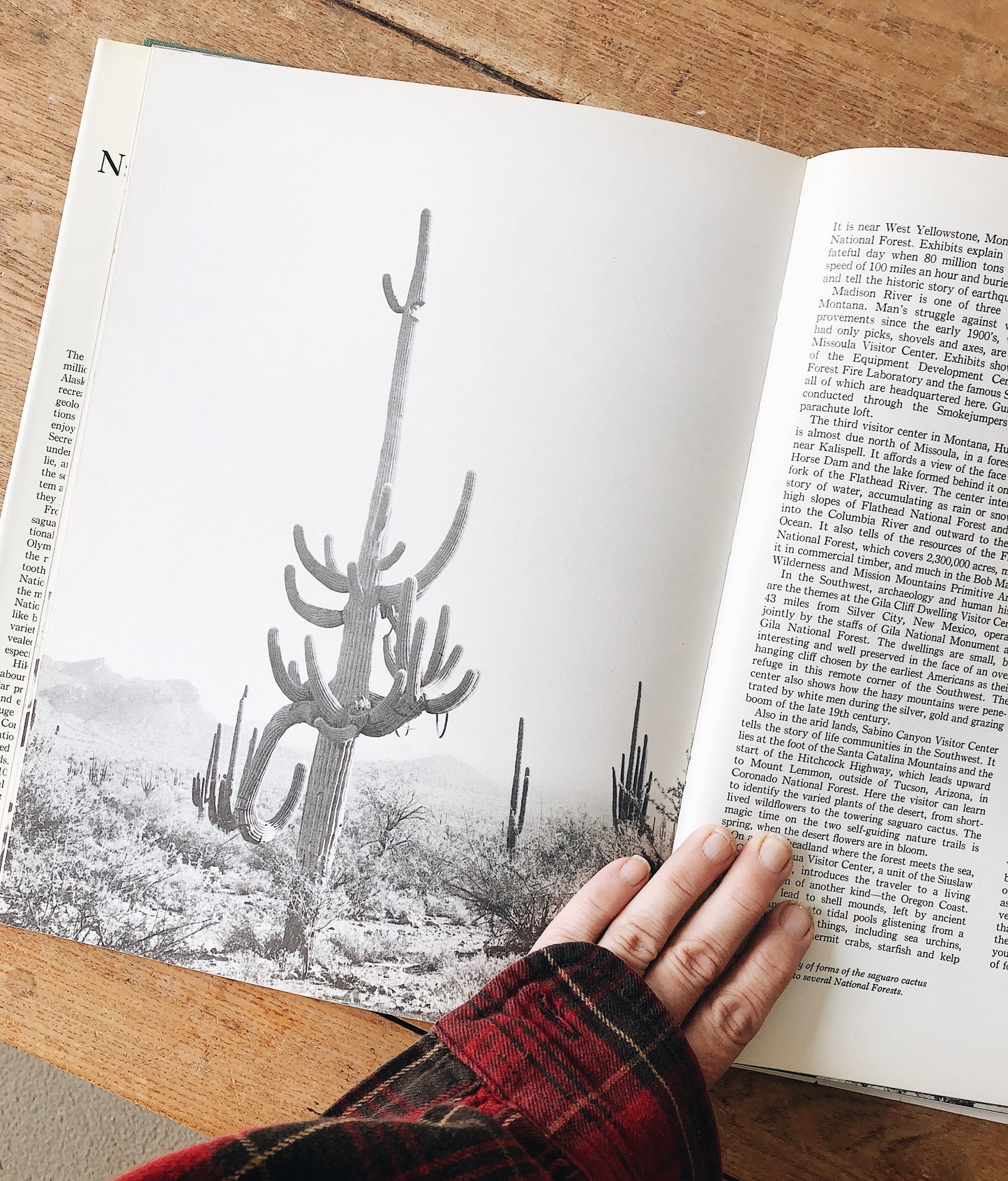 Vintage National Forests of America Book