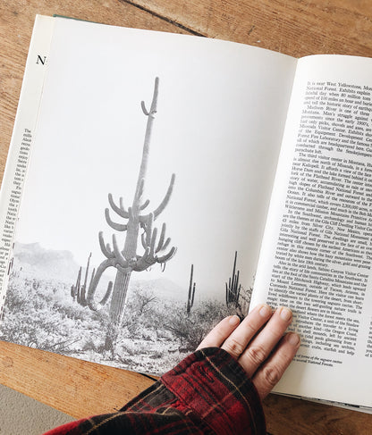 Vintage National Forests of America Book