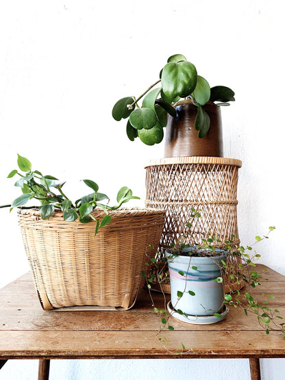 Vintage Ceramic Plant Pot