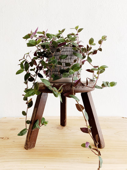 Vintage Wood Stool