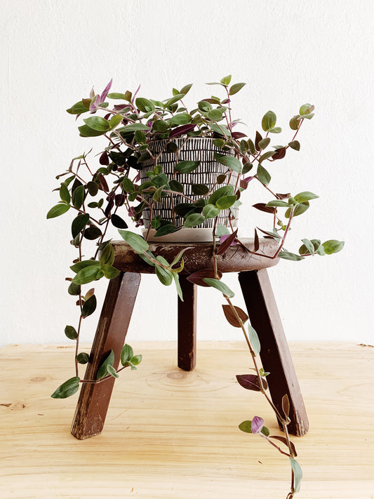 Vintage Wood Stool