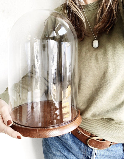 Large Vintage Cloche Terrarium with Potted Fern