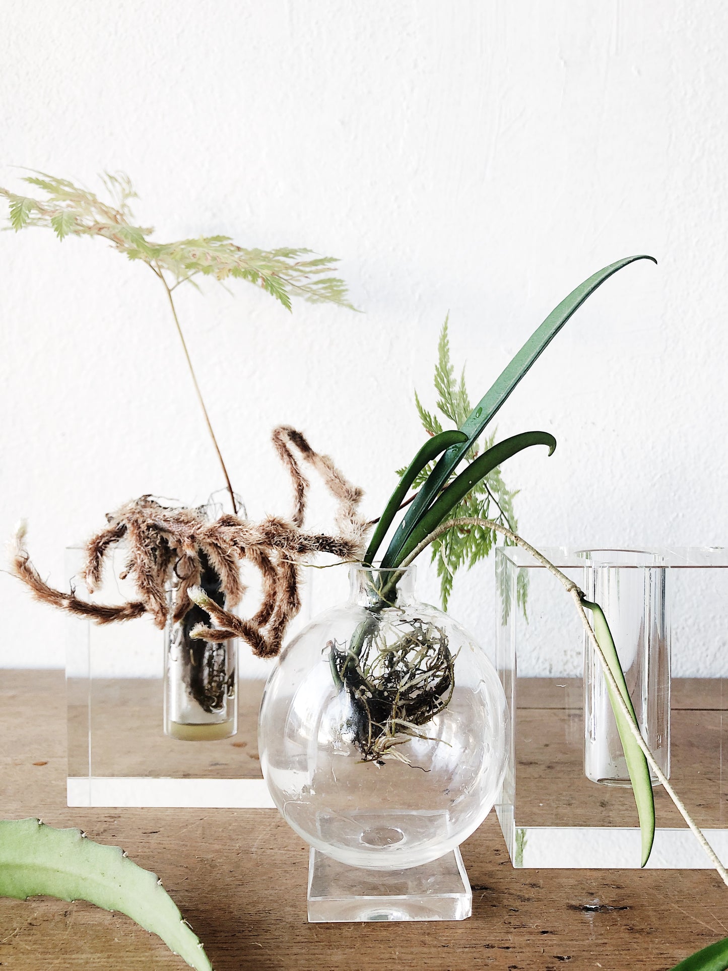 Modern Glass Propagation Vase