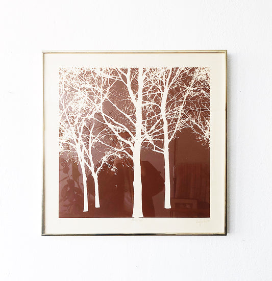 Vintage Original Screenprint