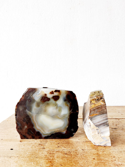 Petrified Wood Bookends
