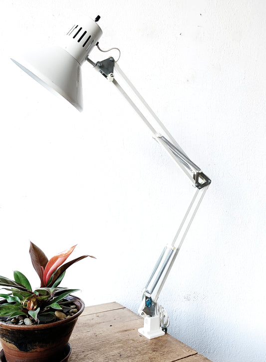 Vintage Industrial Task Light