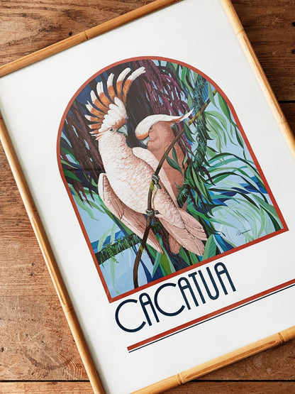 Vintage Framed Cacatua Print