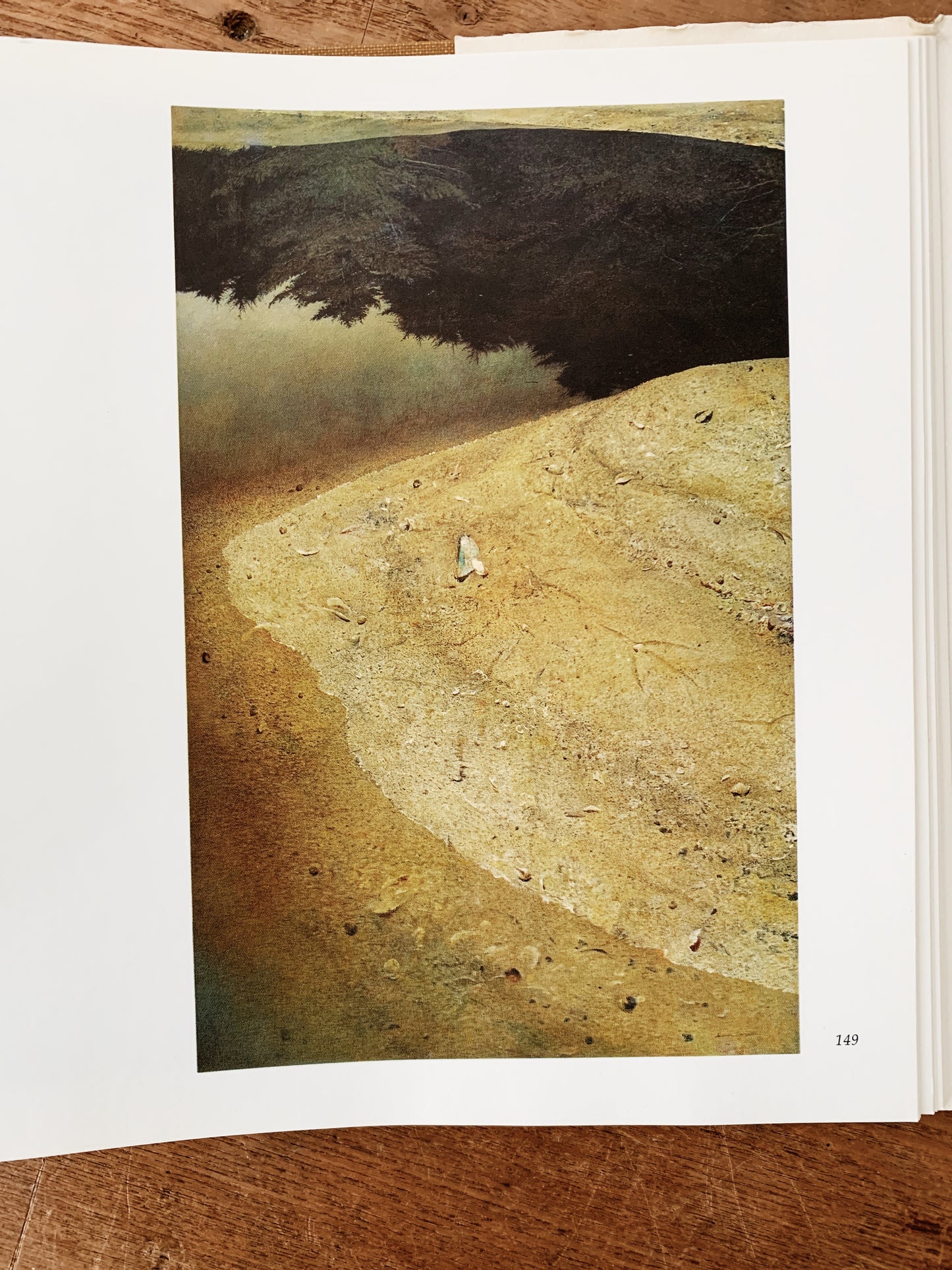 Andrew Wyeth Hardbound c1970