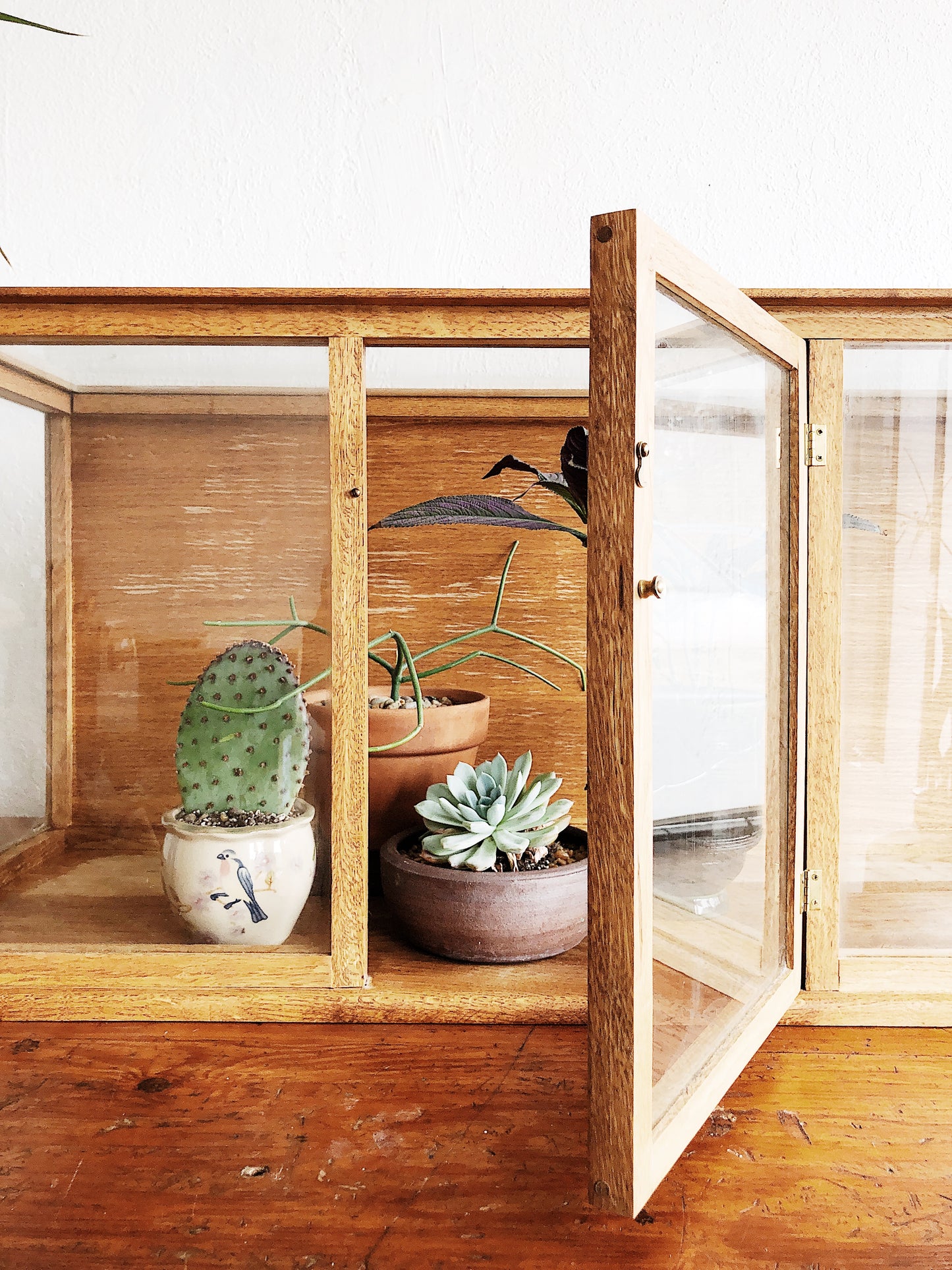 Vintage Glass and Wood Display Case