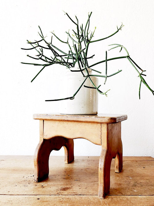 Handmade Primitive Stool