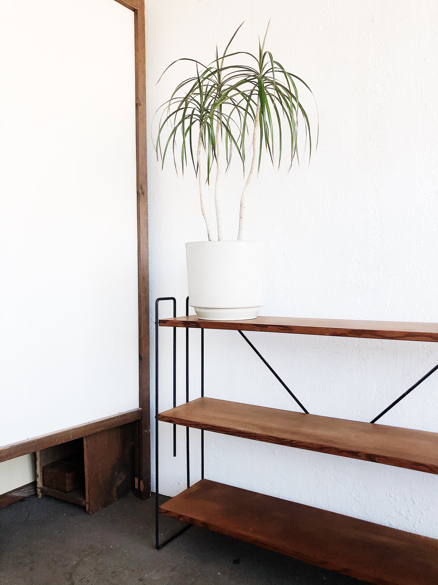 Mid Century Shelf