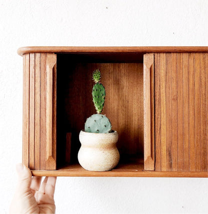 Vintage Teak Tambour Wall Cubby