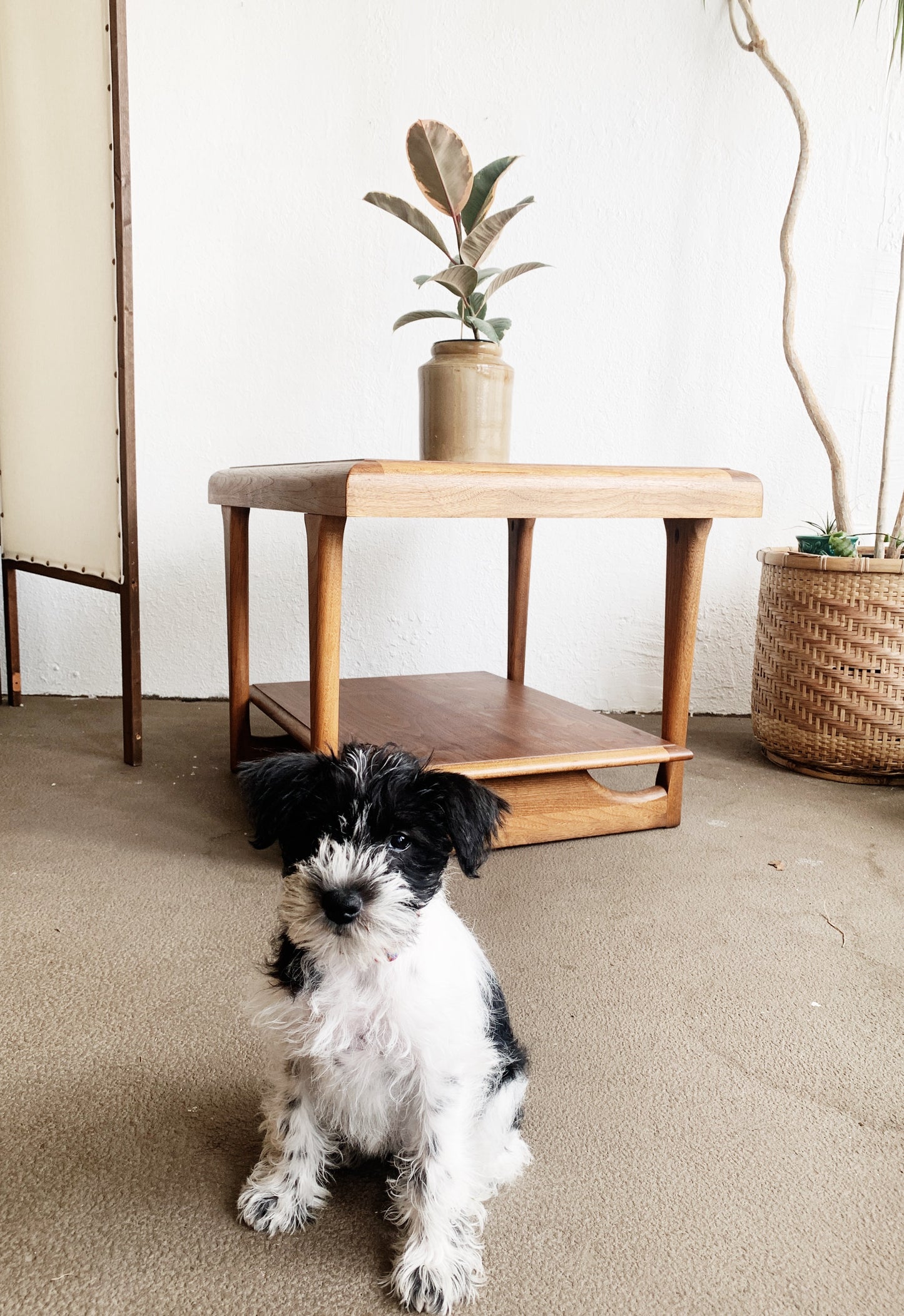 Mid Century Lane Alta Vista Walnut Side Table