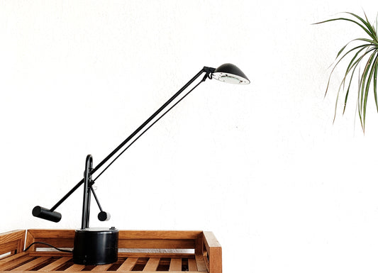 Ledu Halogen Desk Lamp