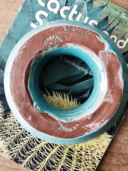 Vintage Succulent Planter and Book