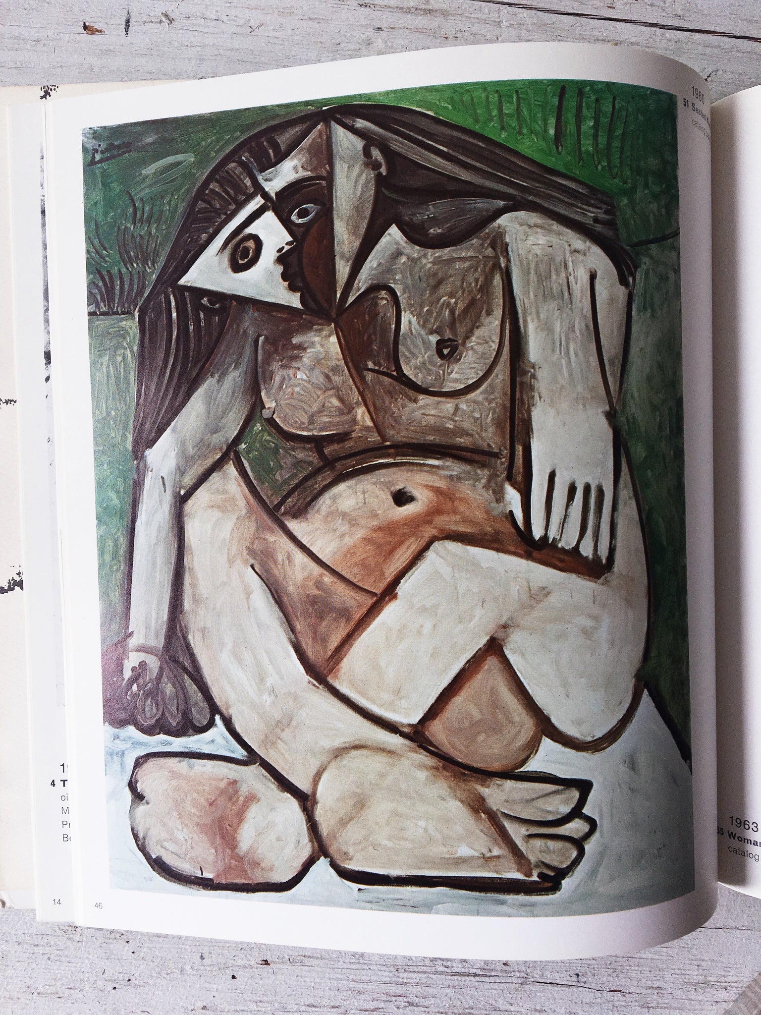 Vintage Picasso For Portland Book