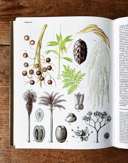 Flowering Plants of the World 1977