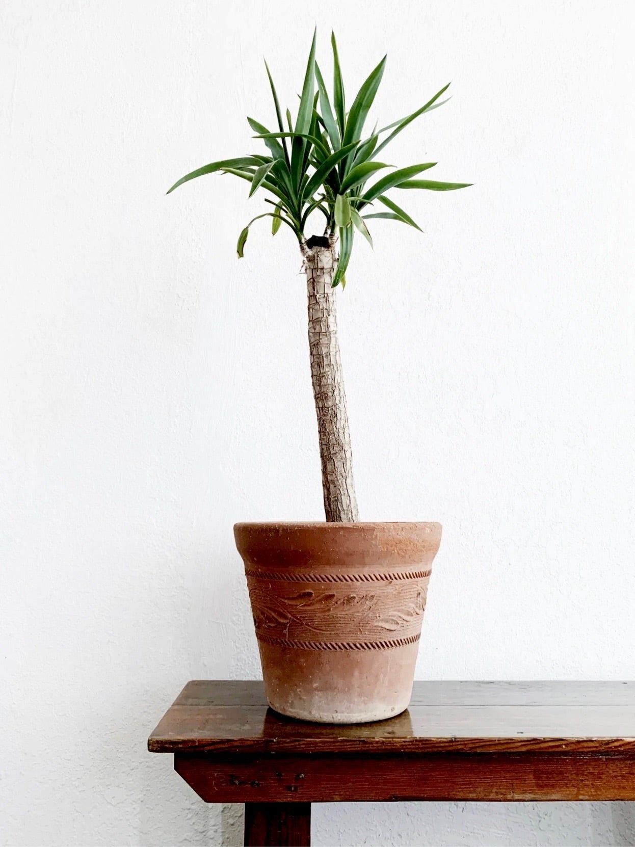 Large Vintage Terra Pot Mexico