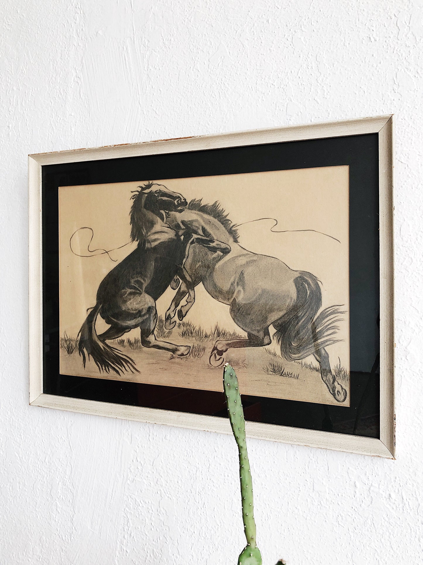 Vintage Original Stallion Charcoal Drawing