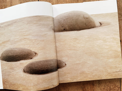 Earthscapture The Art of Setsuo Ito