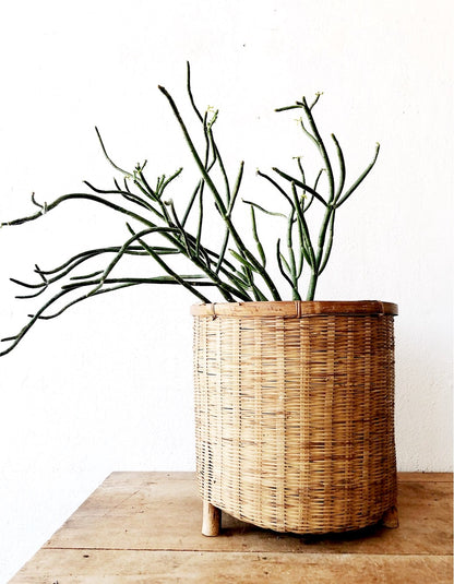 Oversized Bamboo Floor Planter