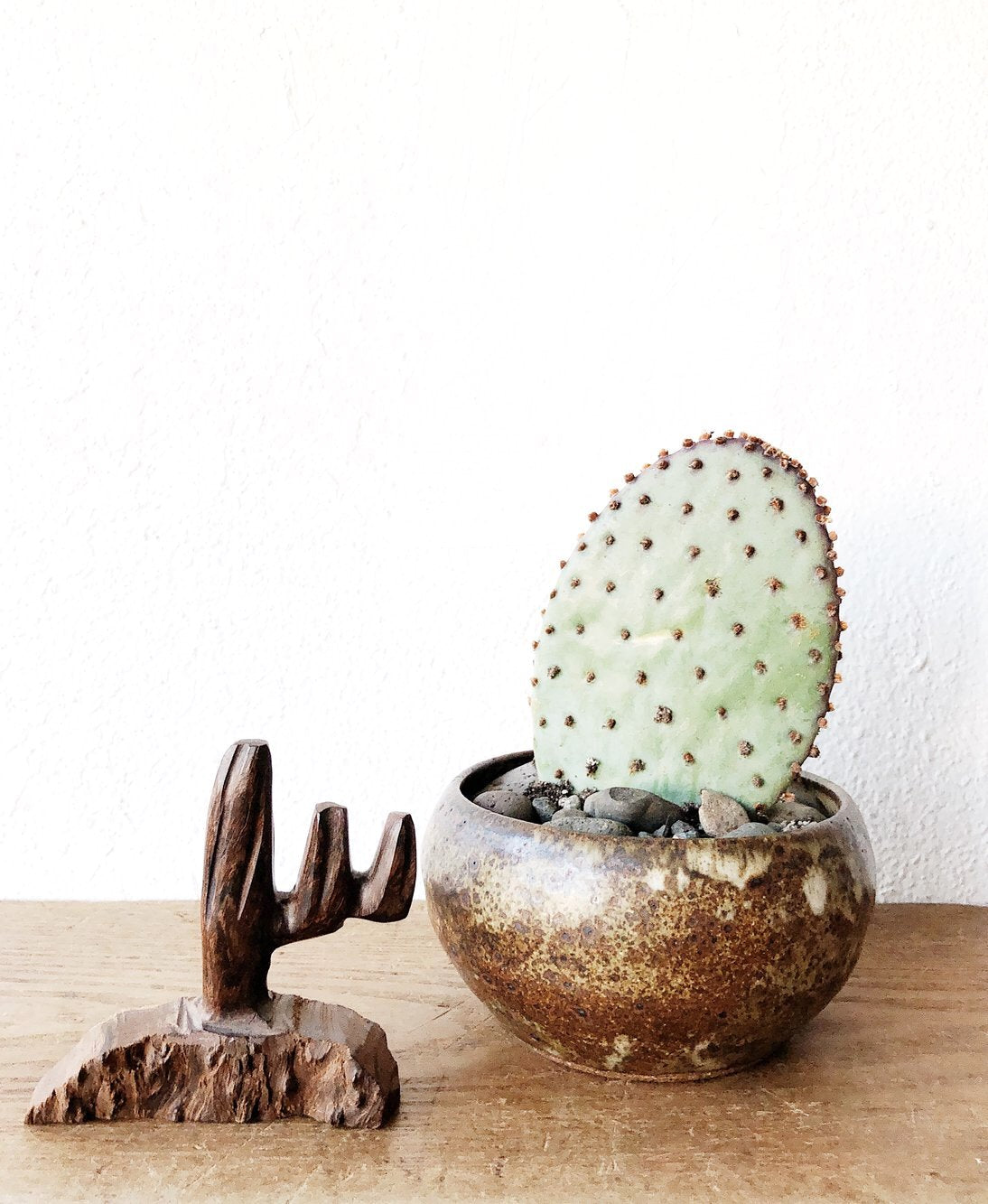 Petite Windswept Wood Cactus