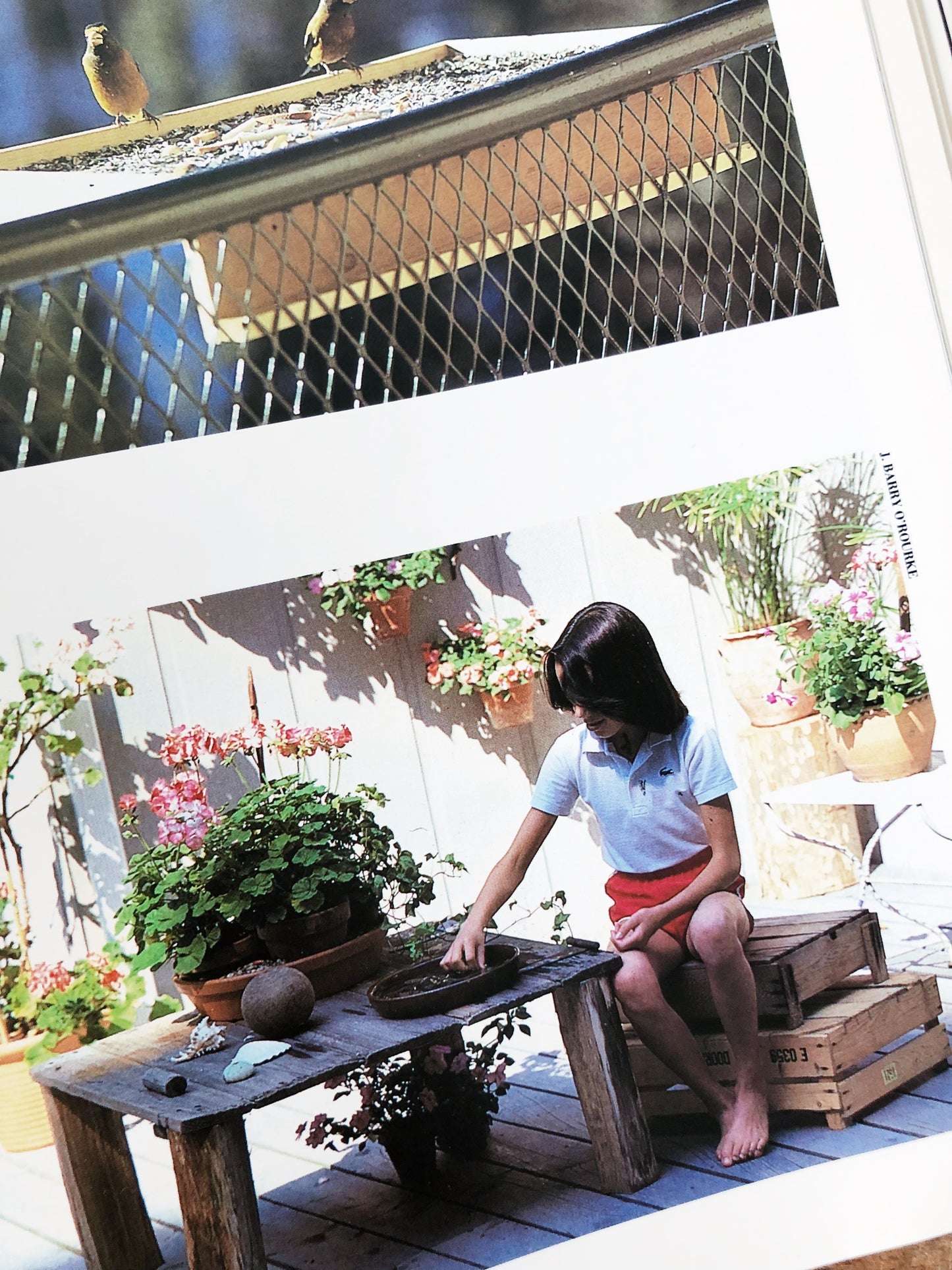 Vintage Found Objects Design Book