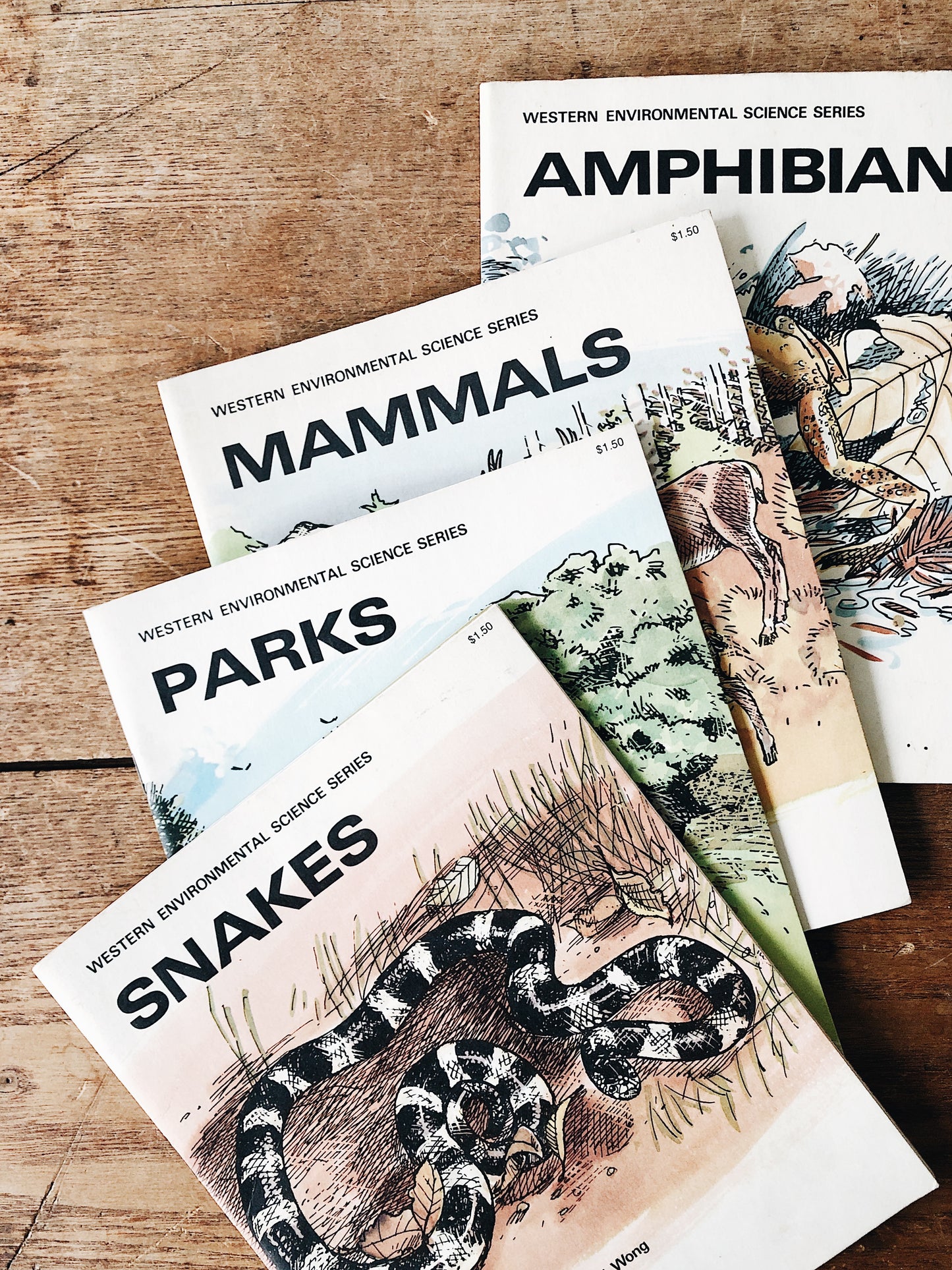 Vintage 1970s Natural History Book Set