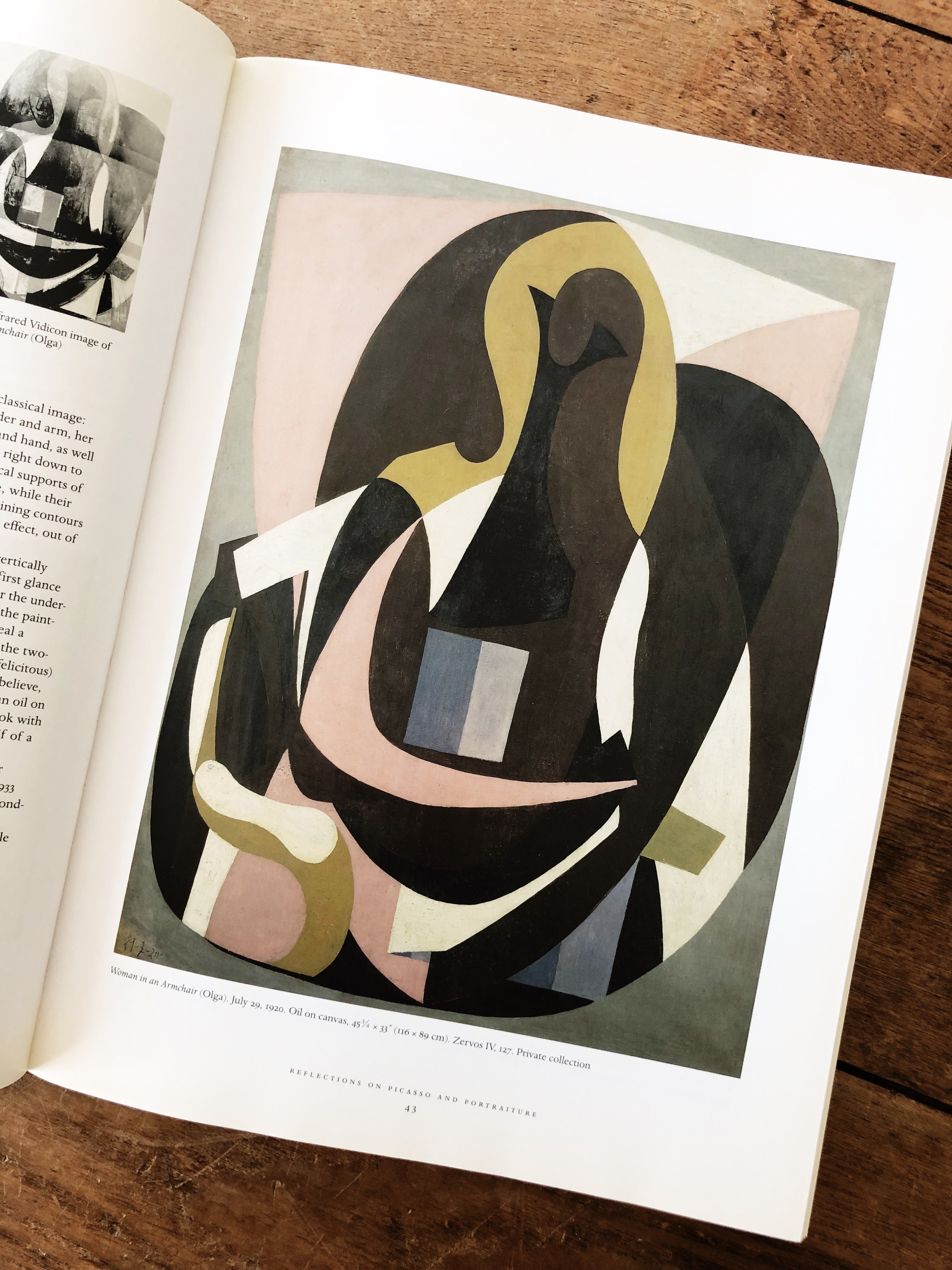 Picasso and Portraiture Book – Maven Collective