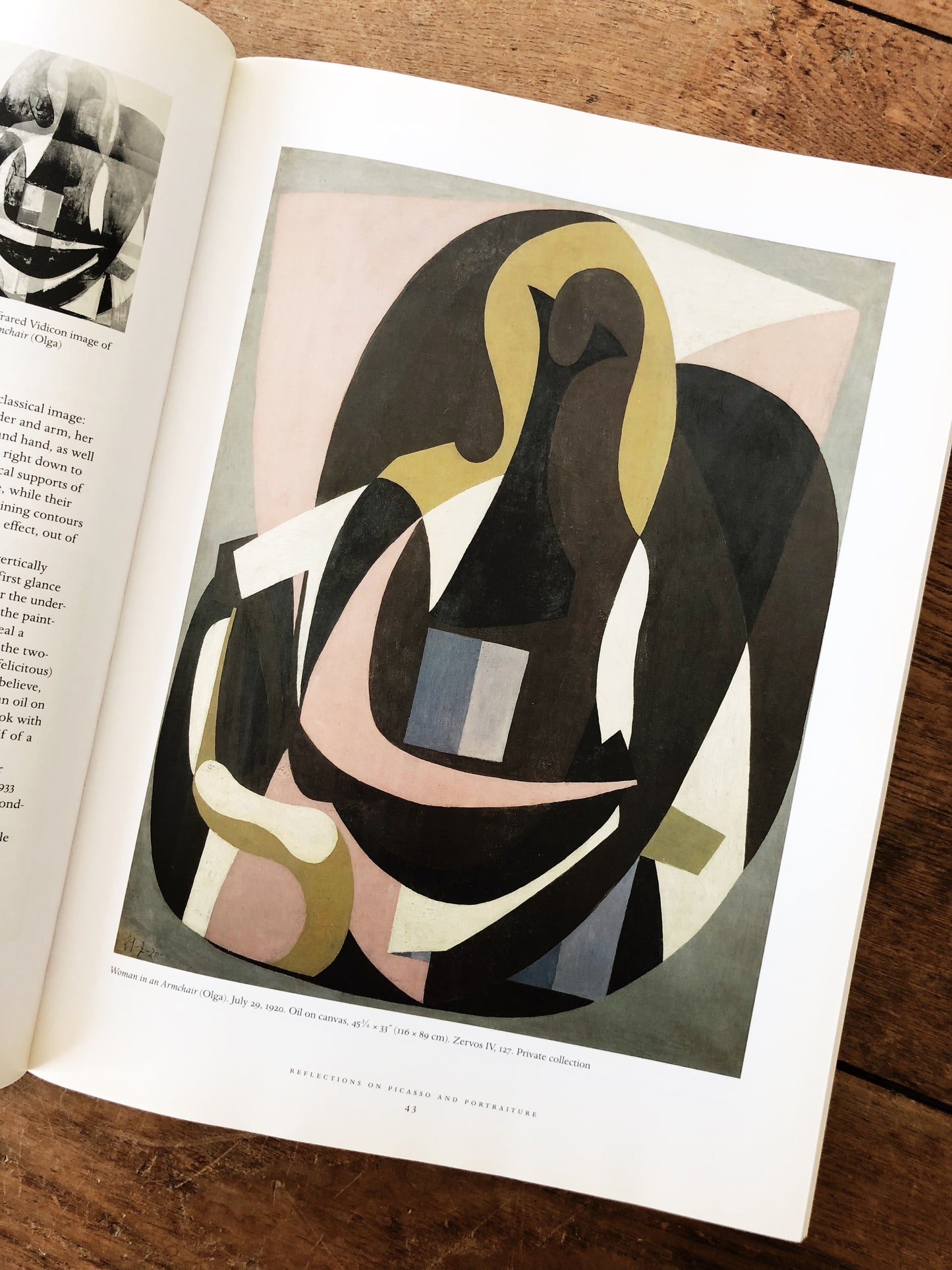 Picasso and Portraiture Book