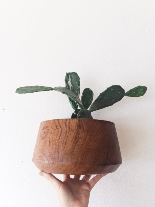 Mid Century Teak Bowl