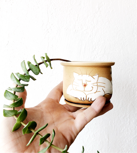 Tiny Handpainted Pot