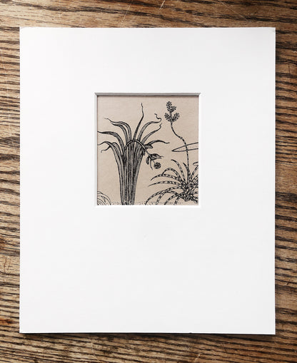 Vintage Win Ng Illustration