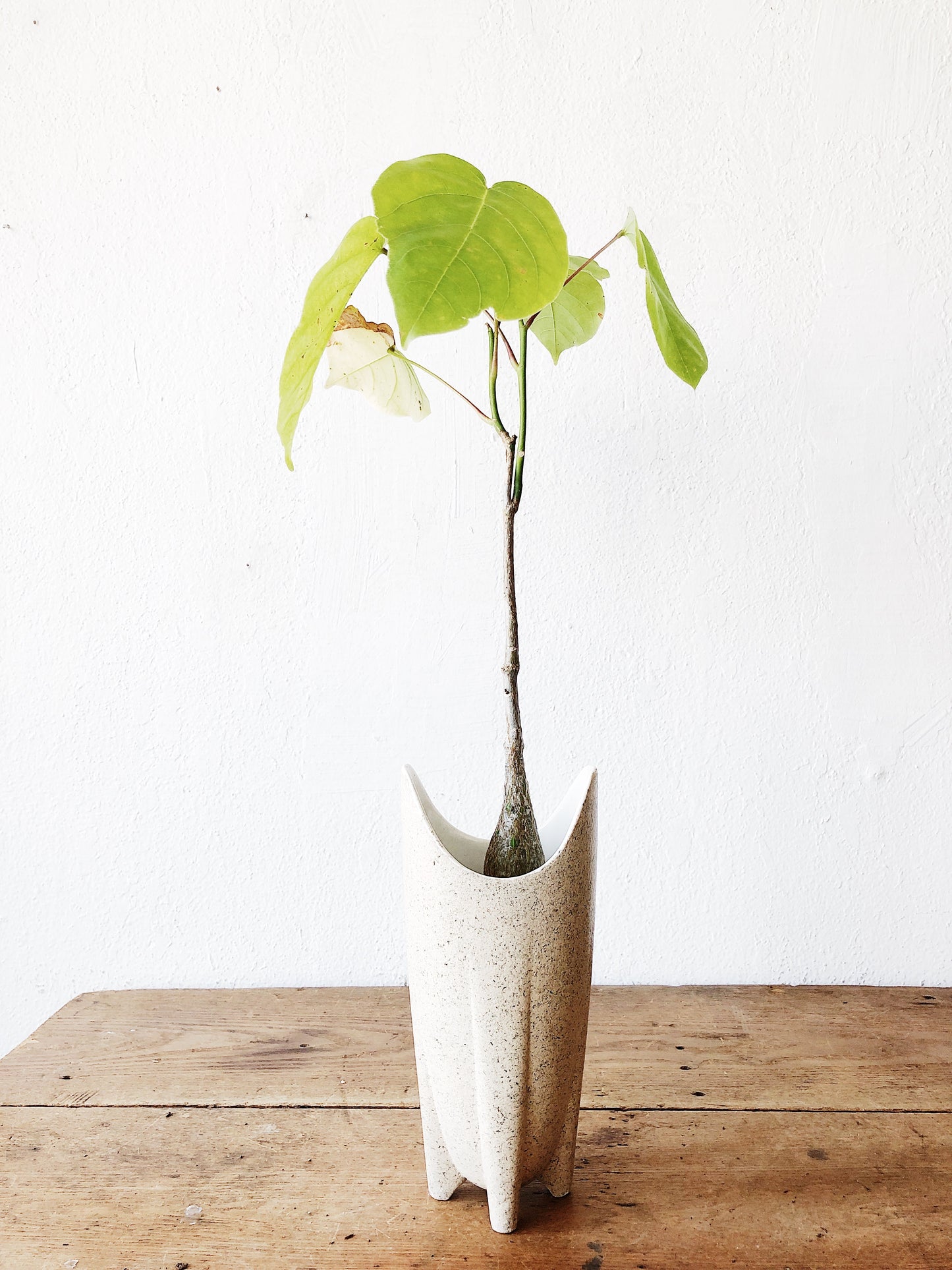 Vintage USA Atomic Era Vase